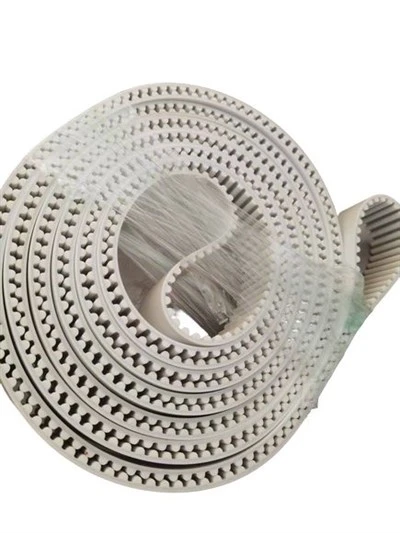 Belt Cludo Cydamserol